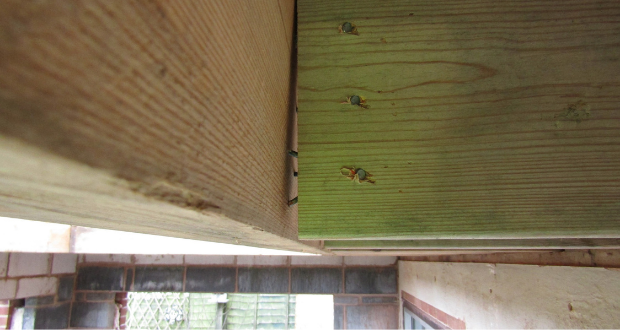 Trading Standards Issues Warning over Cowboy Builders