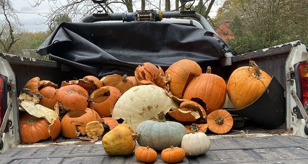 Halloween treat for wildlife is a ghoulish mistake