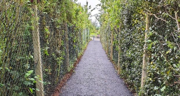 Key Hixon footpath is new and improved, thanks to highways crews
