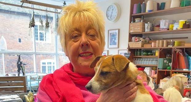 Staffordshire Adult Learning and Skills Festival opens doors to free learning opportunities