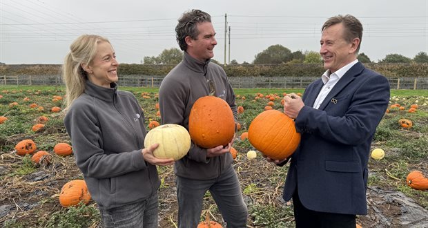 Family-fun events throughout Staffordshire during October half term