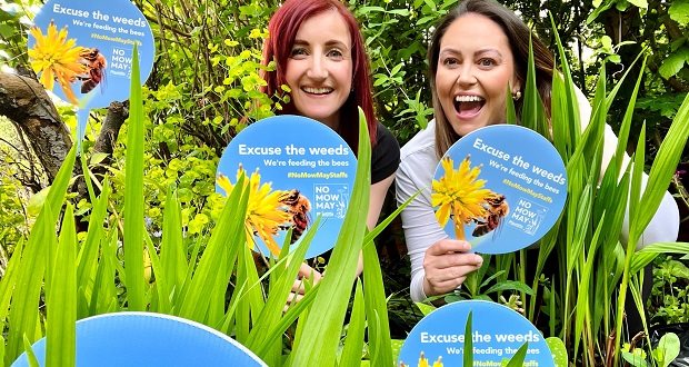 Residents urged not to cut their grass in May to help wildlife