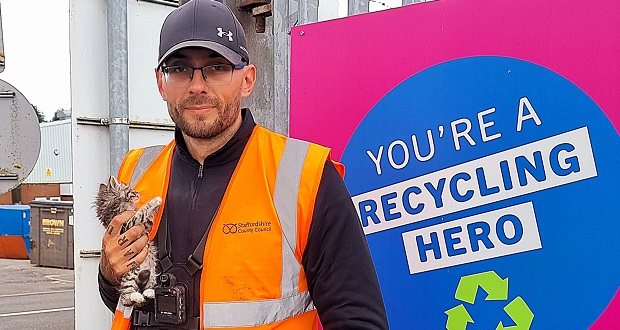 Orphaned kittens hiding under waste bins at Staffordshire recycling centre rescued by smitten staff