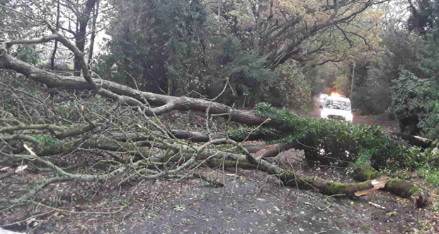 Staffordshire highways crews work to keep roads open