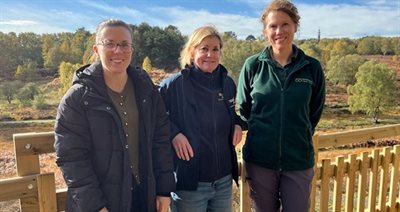 Brindley Heath viewing platform NEWSROOM
