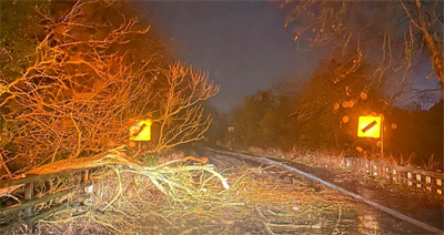 storm damage 241208 1 tree fallen across dual carriageway