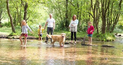 Cannock-Chase-Staffordshire-family-paddle-in-stream-with-dog&amp;#169;EnjoyStaffordshire NR