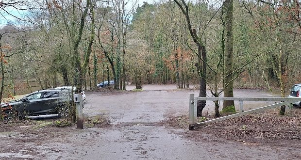 Country car park temporarily closes for removal of diseased trees