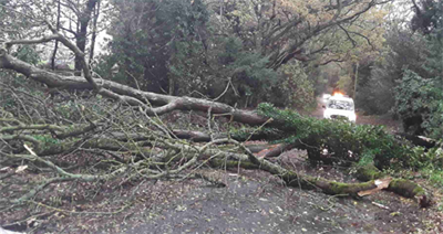 Sugar Loaf Lane, Iverly (e)