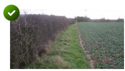 Ploughing - A field edge path should never be cultivated