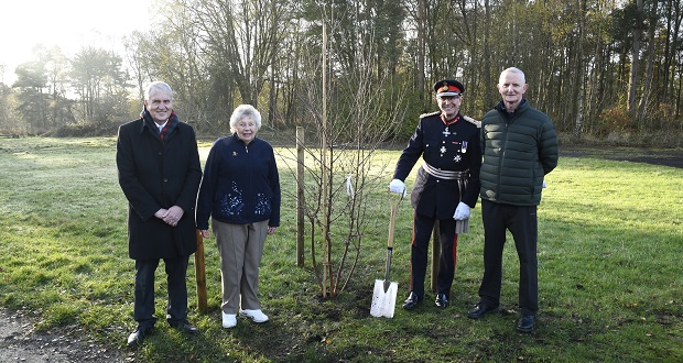 Cannock Chase gifted 'Tree of Trees'