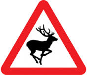 deer sign1