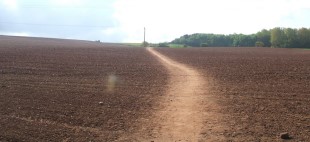 Ploughing - 2 Before and Following Ploughing