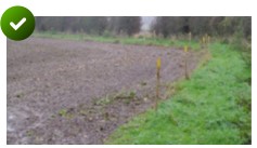 Ploughing - The width of the field edge path has been marked out using canes to prevent accidental cultivation