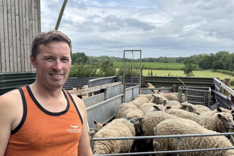 Tom Chapman NEWSROOM