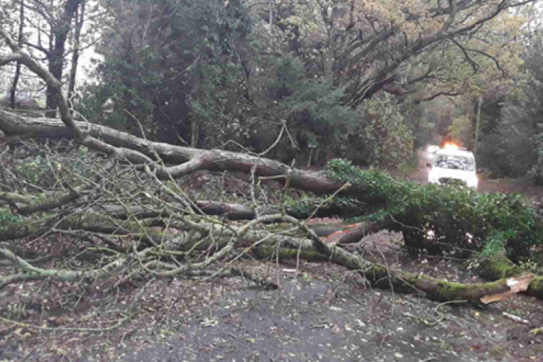 Sugar Loaf Lane, Iverly (e)
