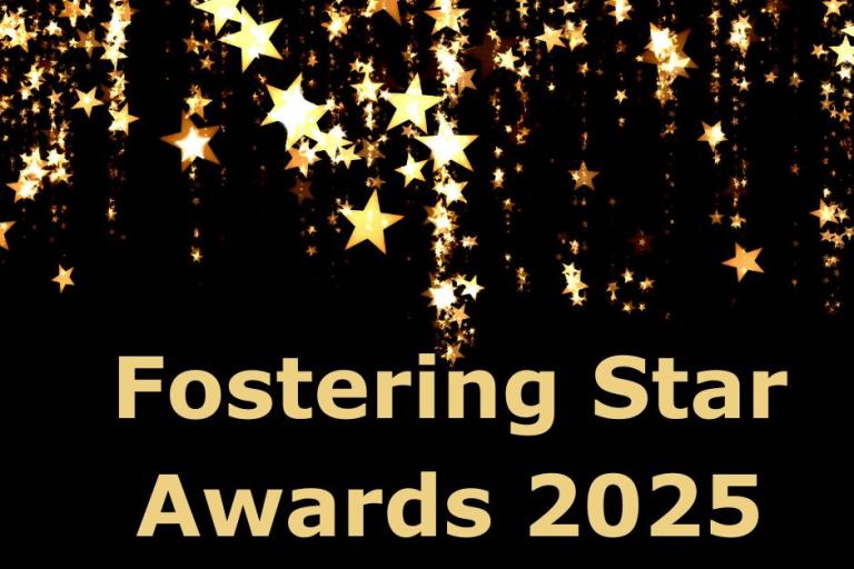 Star Awards Image 25