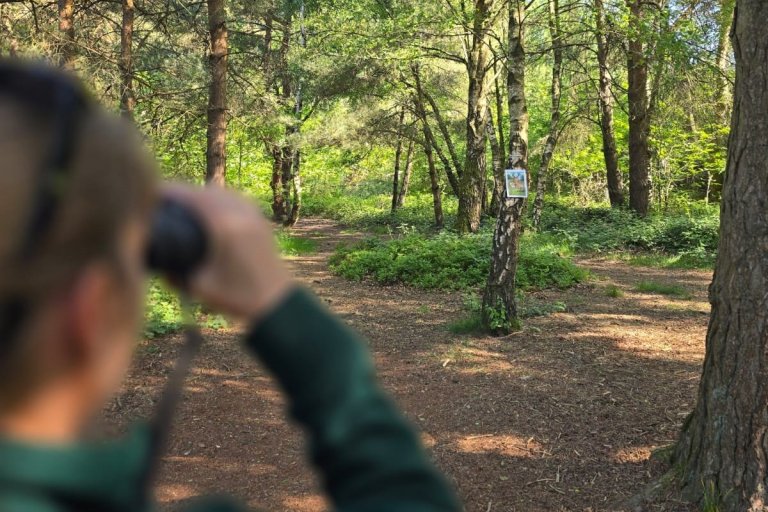 A woman, wearing a green jumper, holding up binoculars and looking away from the camera towards a poster.