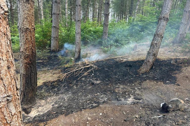 Charred ground in a woodland area, where a wildfire had been as a result of a disposable barbecue.