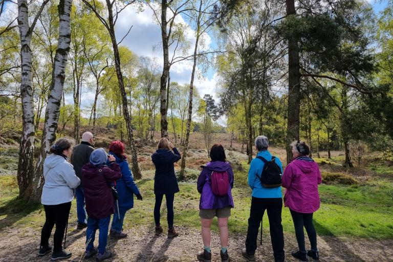 People gathered in front of trees with their backs to us as they look outwards - some with binoculars. The sun is rising in the distance, casting the shadows of the people and the trees behind them.