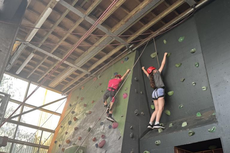 Children on climbing wall