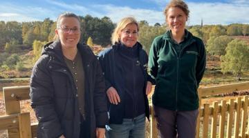 Brindley Heath viewing platform NEWSROOM
