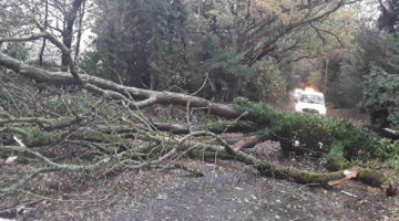 Sugar Loaf Lane, Iverly (e)