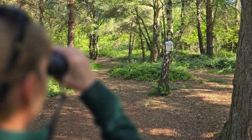A woman, wearing a green jumper, holding up binoculars and looking away from the camera towards a poster.