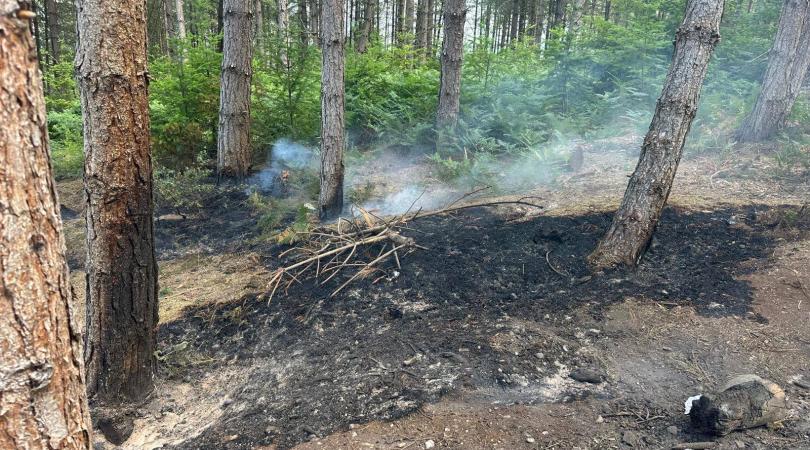 Charred ground in a woodland area, where a wildfire had been as a result of a disposable barbecue.