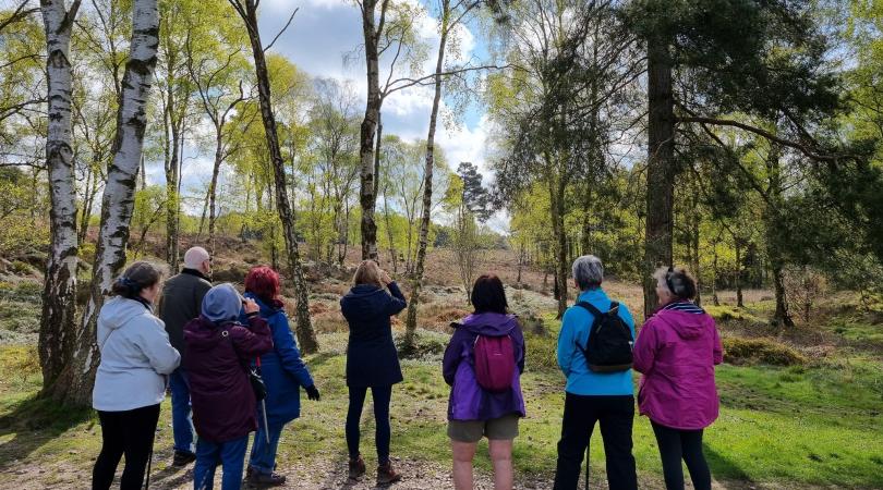 People gathered in front of trees with their backs to us as they look outwards - some with binoculars. The sun is rising in the distance, casting the shadows of the people and the trees behind them.