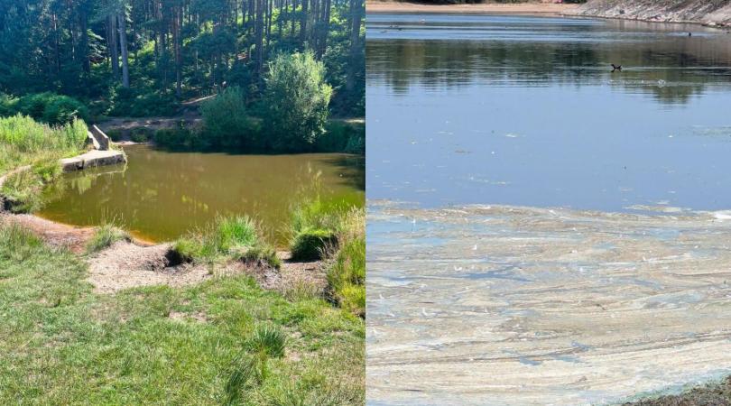 A side-by-side image showing blue-green algae at Cannock Chase Country Park and Chasewater Country Park.
