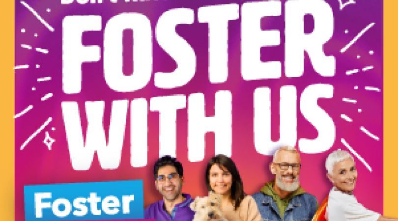 Rule yourself image with 4 foster carers