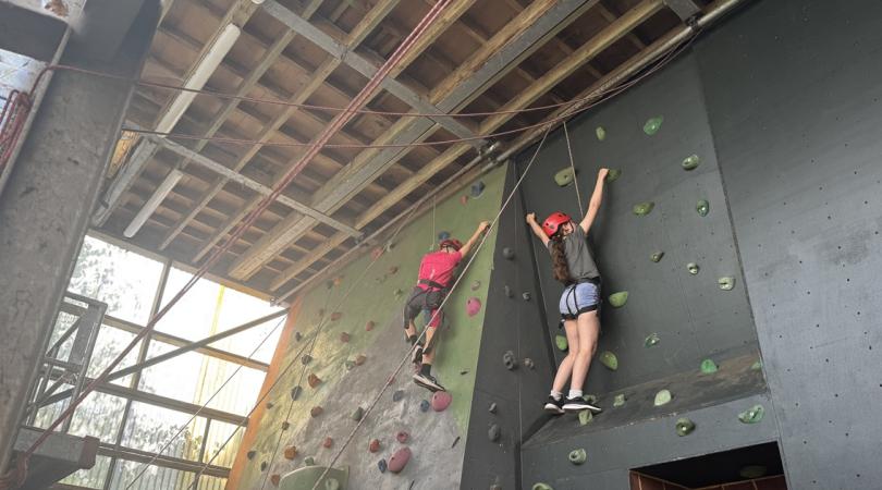 Children on climbing wall