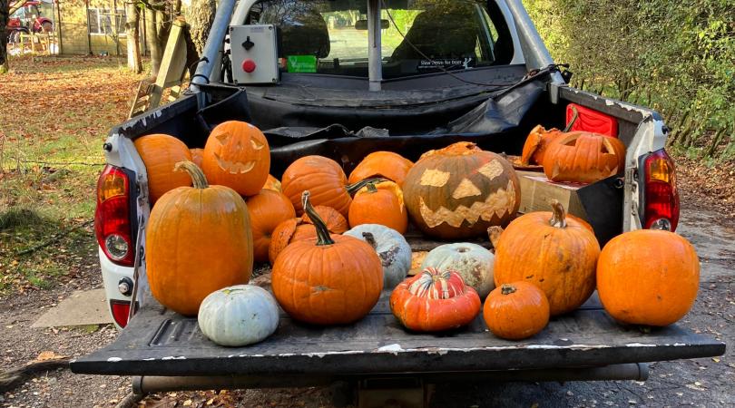 Pumpkins in the back of a truck
